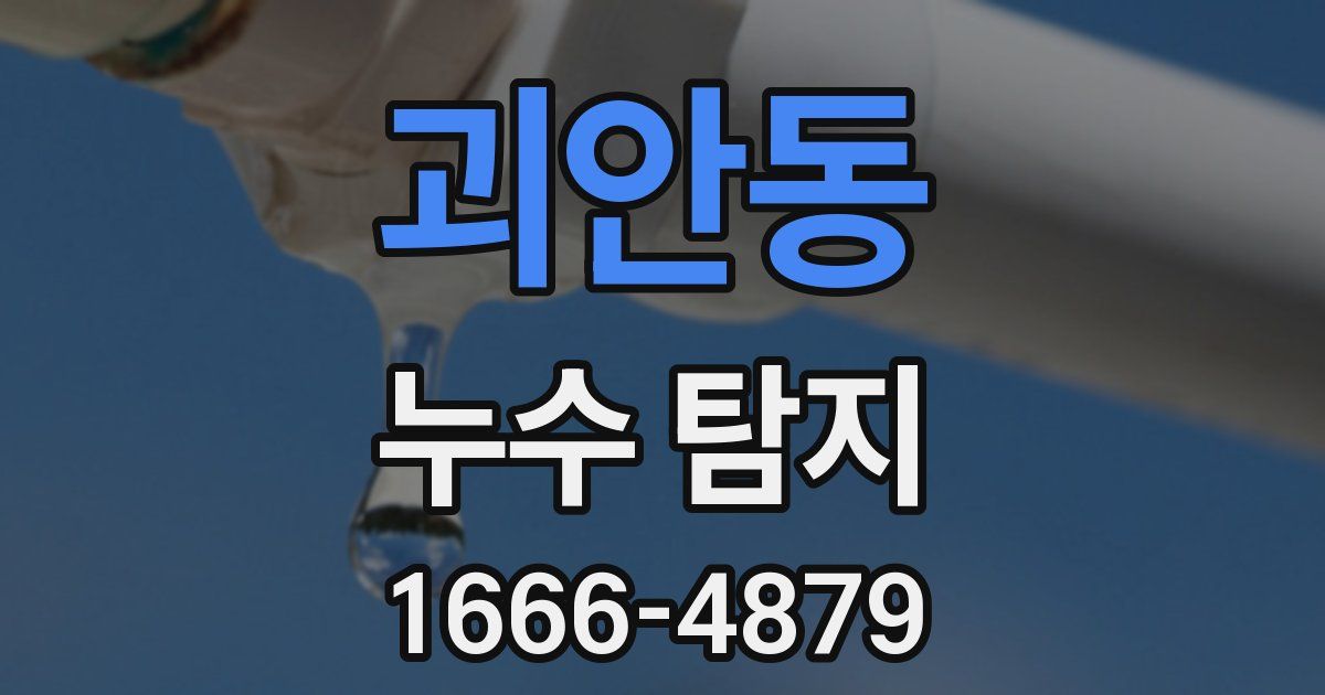 괴안동 누수 탐지