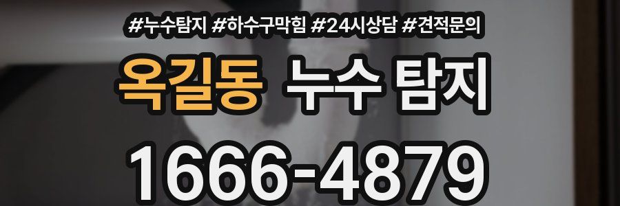 옥길동 누수 탐지