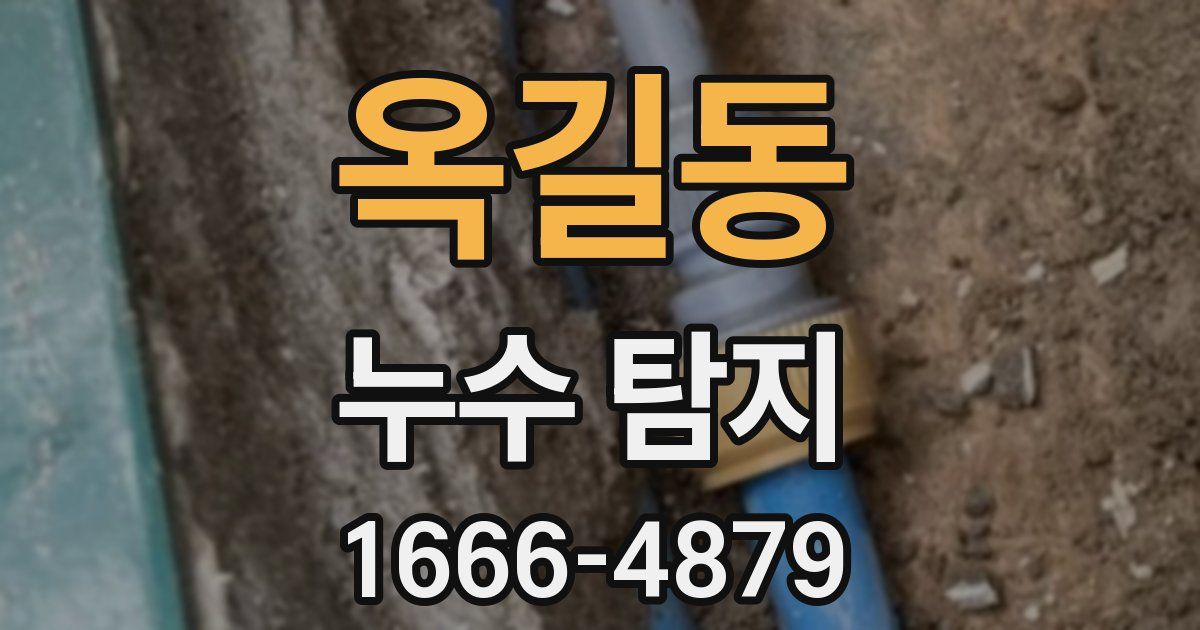 옥길동 누수 탐지