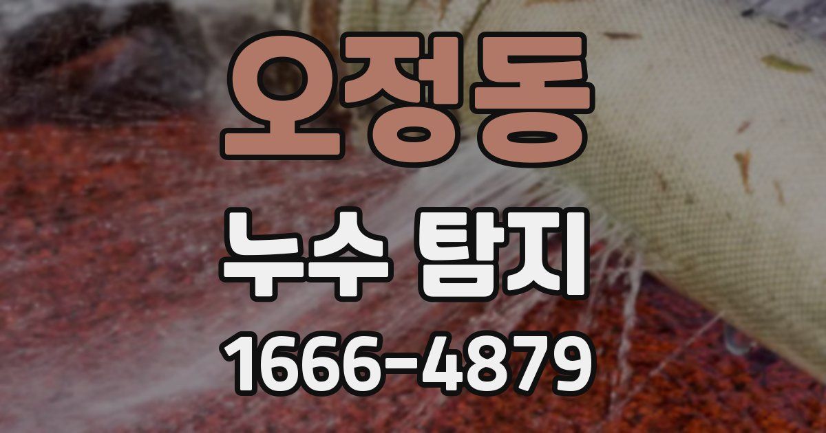 오정동 누수 탐지