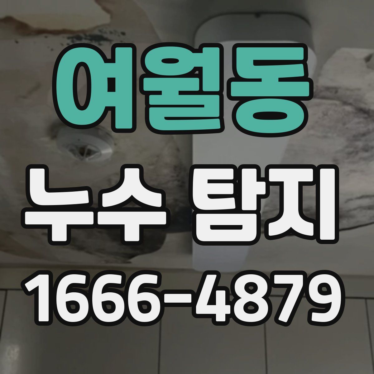 여월동 누수 탐지