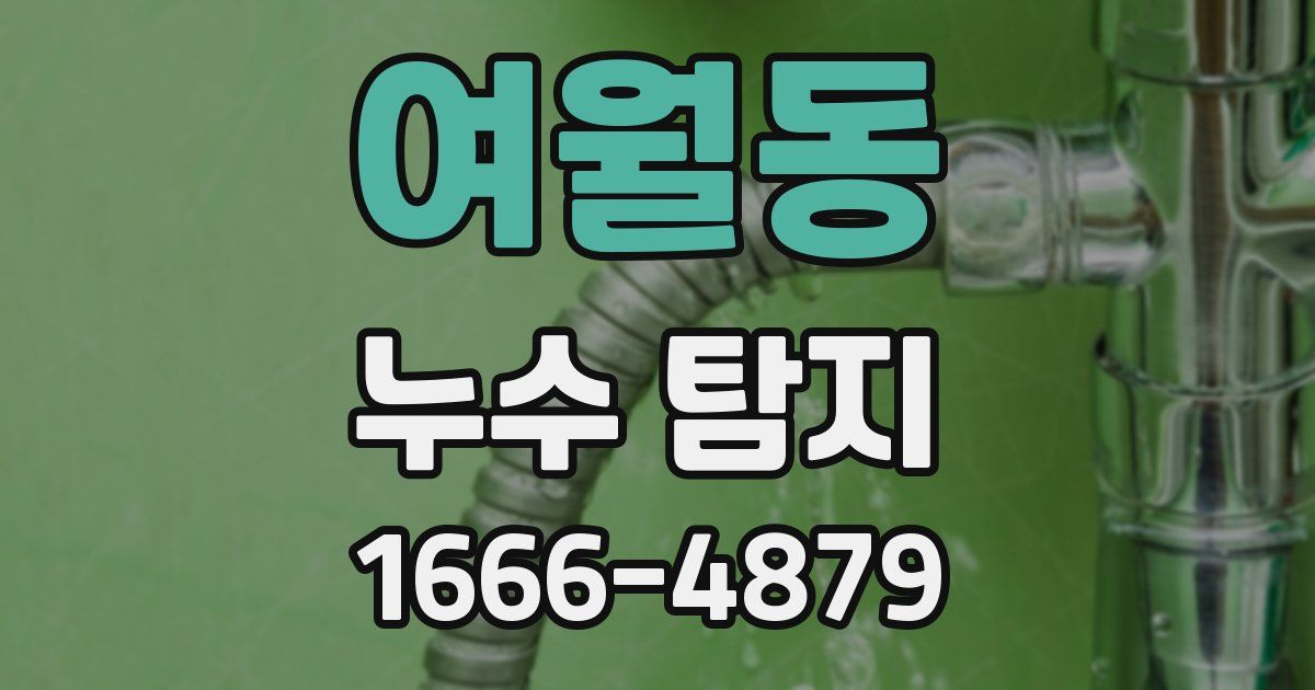 여월동 누수 탐지