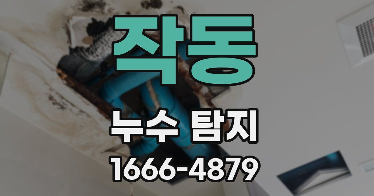 작동 누수 탐지