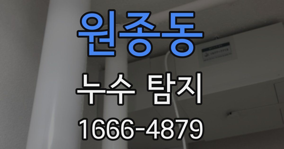 원종동 누수 탐지