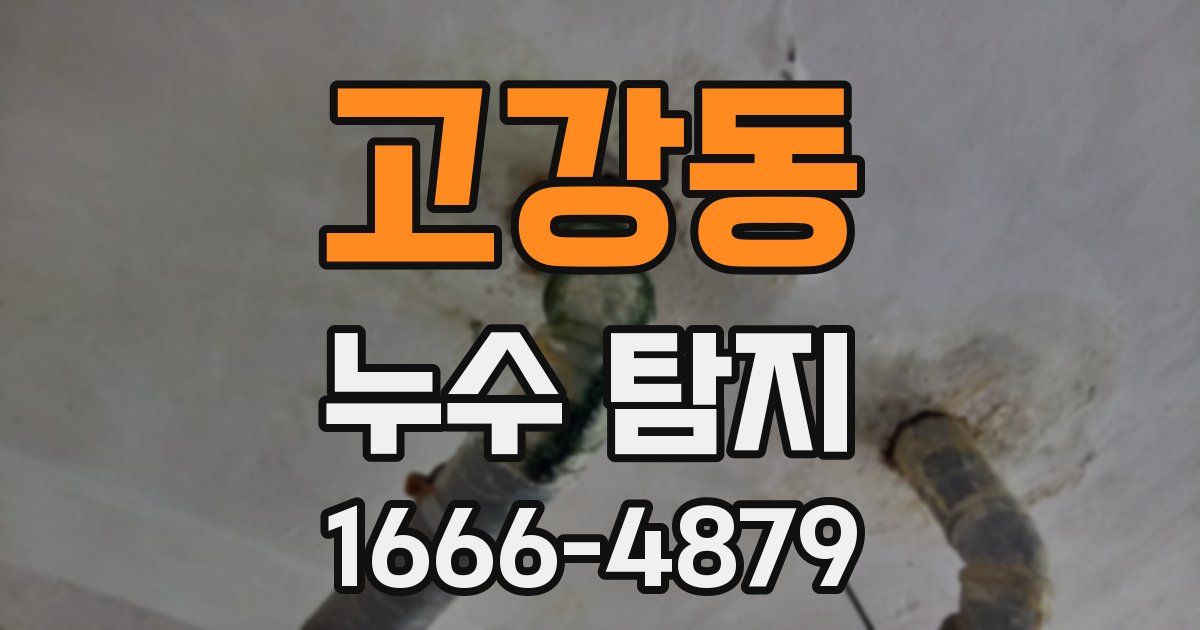 고강동 누수 탐지