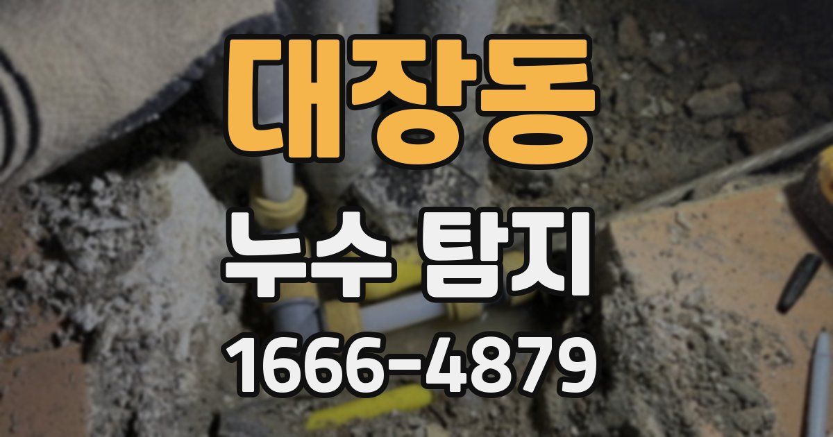 대장동 누수 탐지