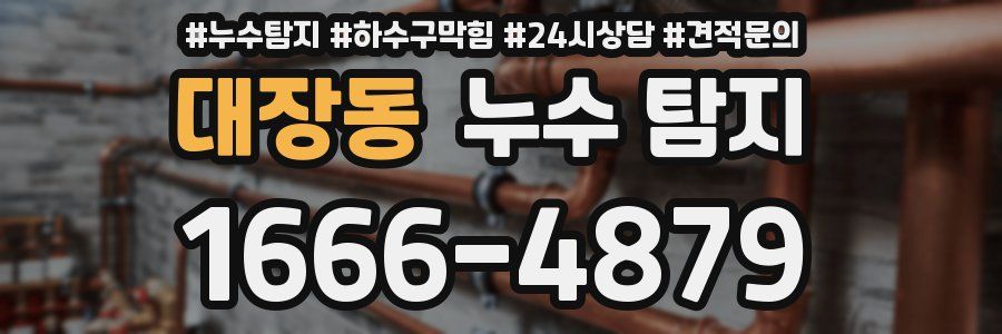 대장동 누수 탐지