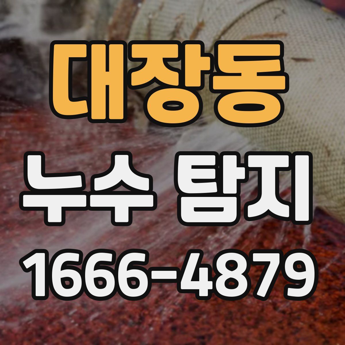 대장동 누수 탐지