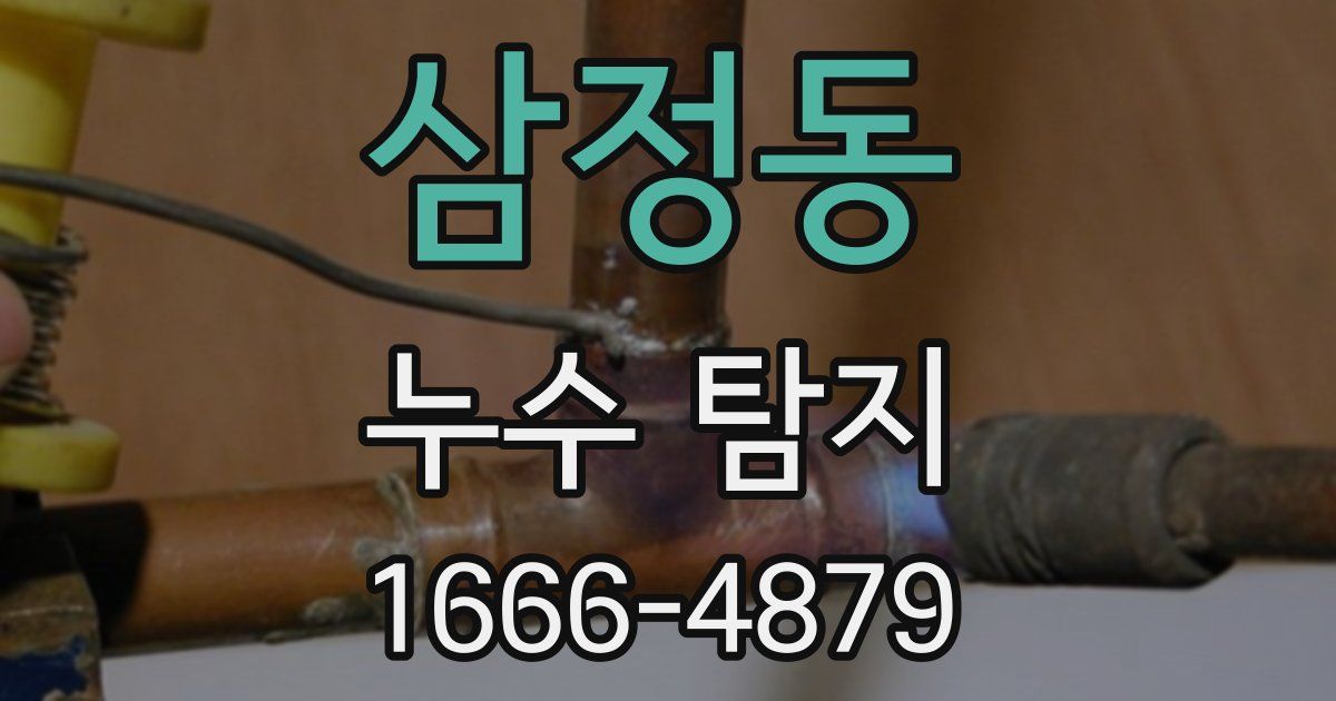 삼정동 누수 탐지