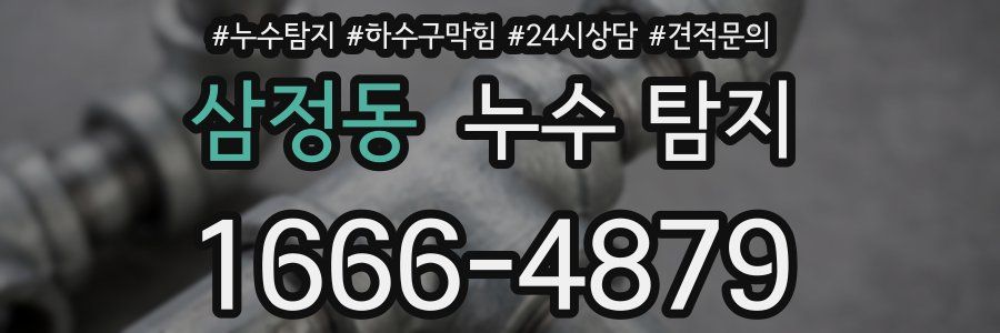 삼정동 누수 탐지