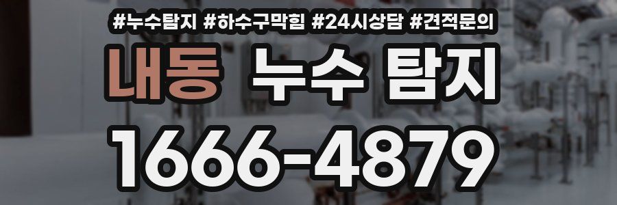내동 누수 탐지