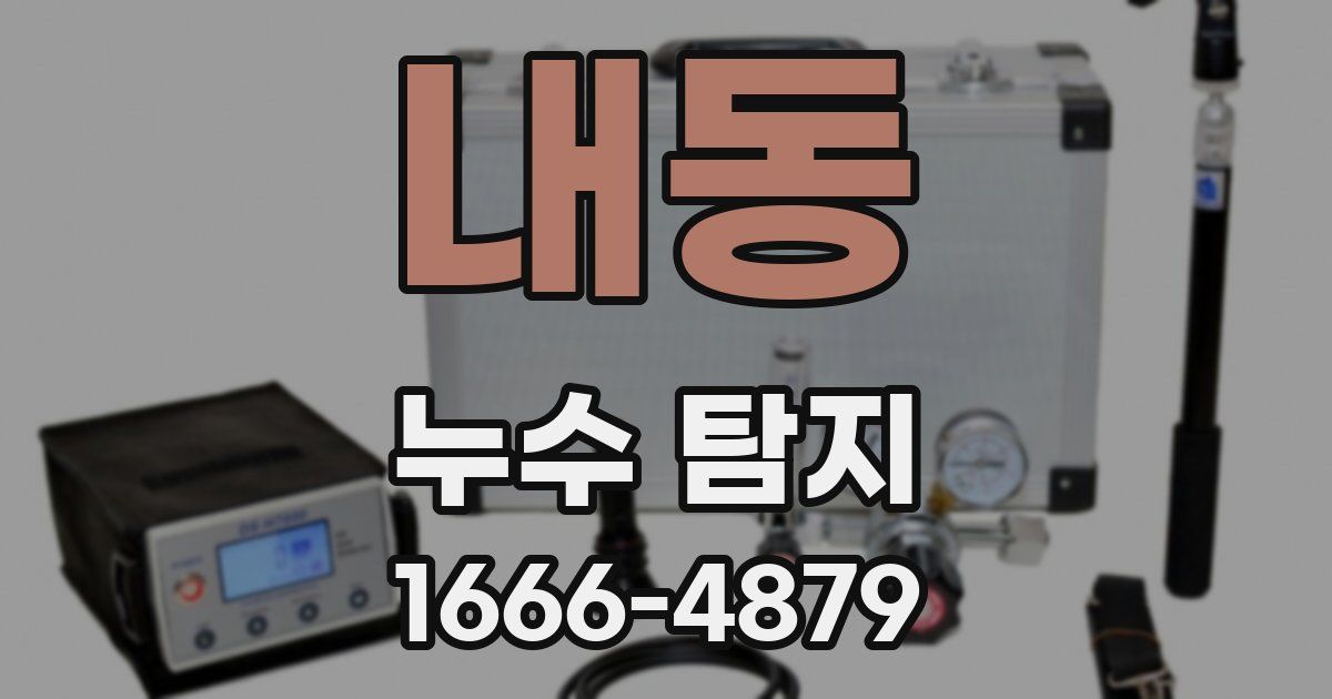 내동 누수 탐지
