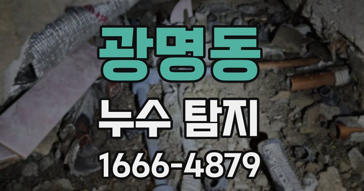 광명동 누수 탐지