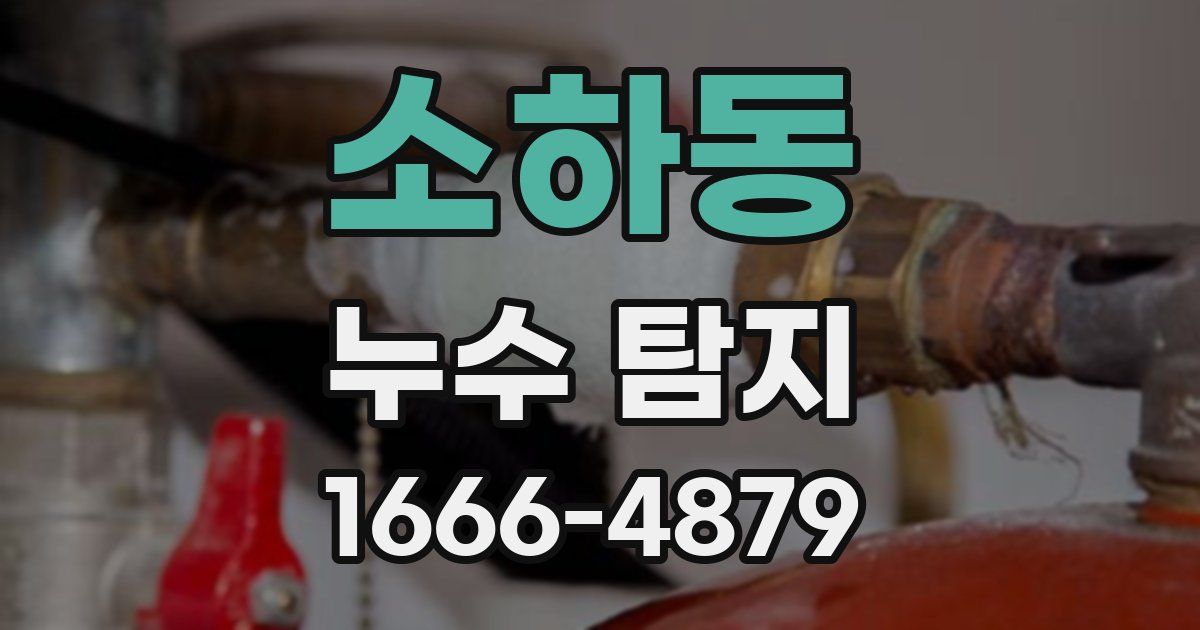 소하동 누수 탐지