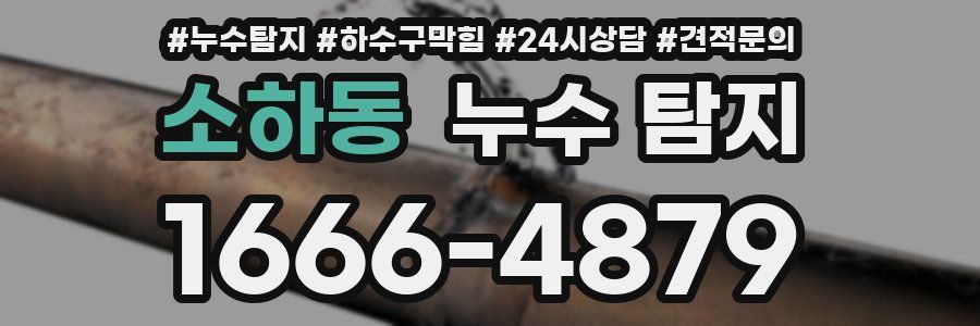 소하동 누수 탐지