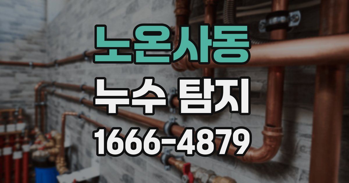 노온사동 누수 탐지