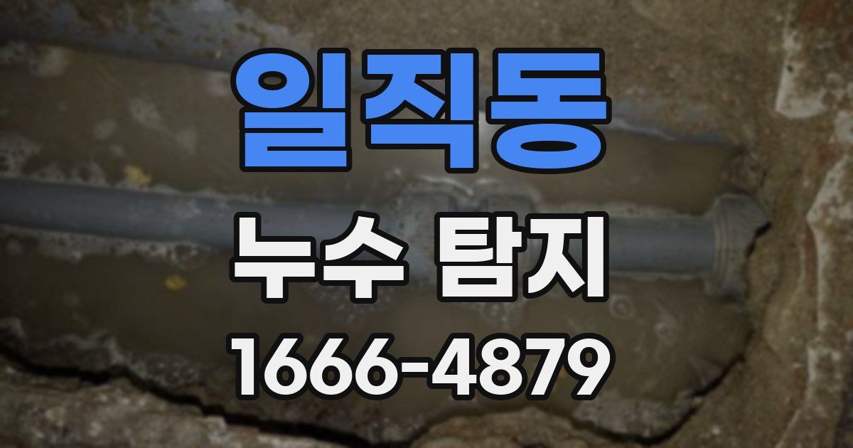 일직동 누수 탐지