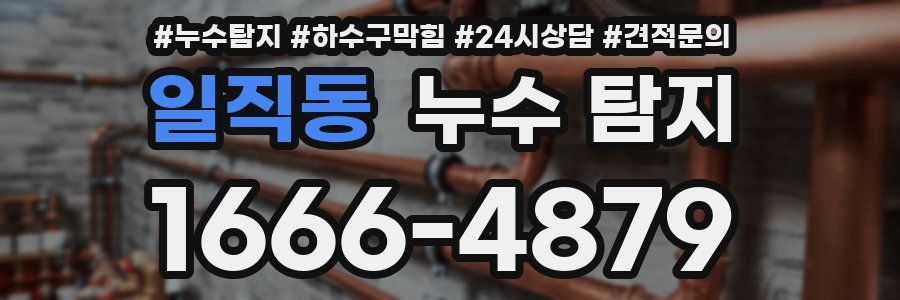 일직동 누수 탐지