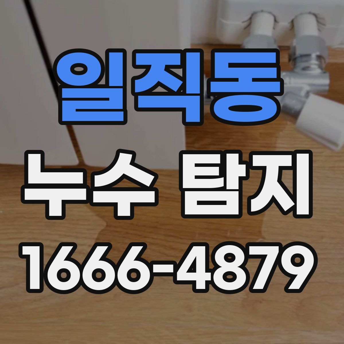 일직동 누수 탐지