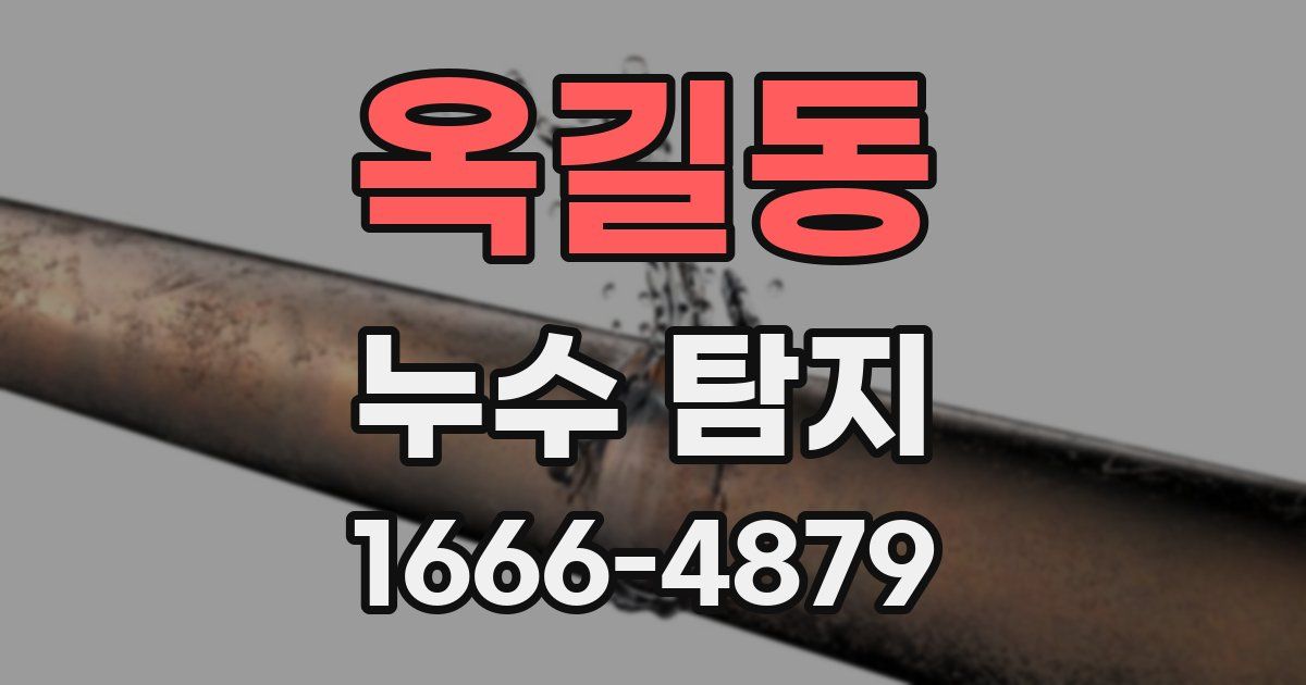 옥길동 누수 탐지