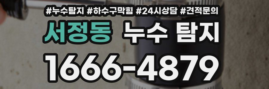 서정동 누수 탐지