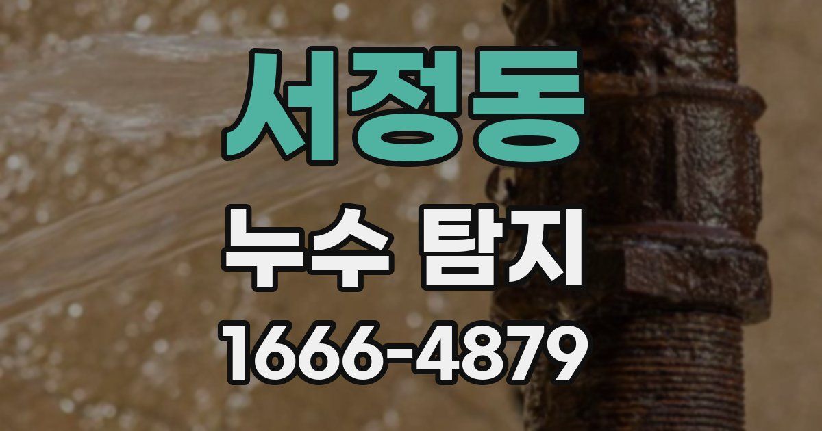서정동 누수 탐지