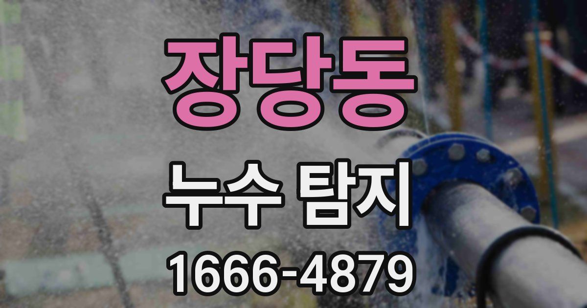 장당동 누수 탐지