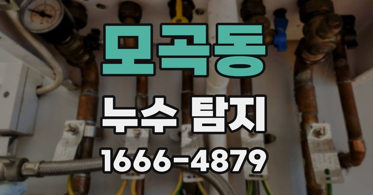 모곡동 누수 탐지