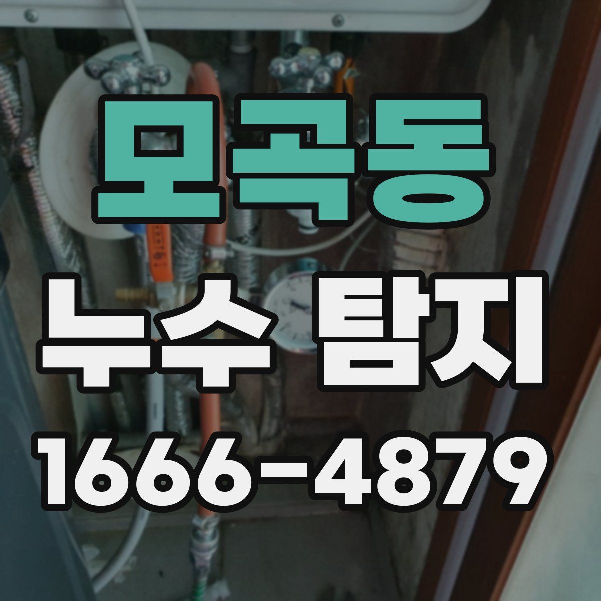 모곡동 누수 탐지
