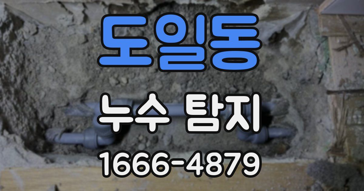 도일동 누수 탐지