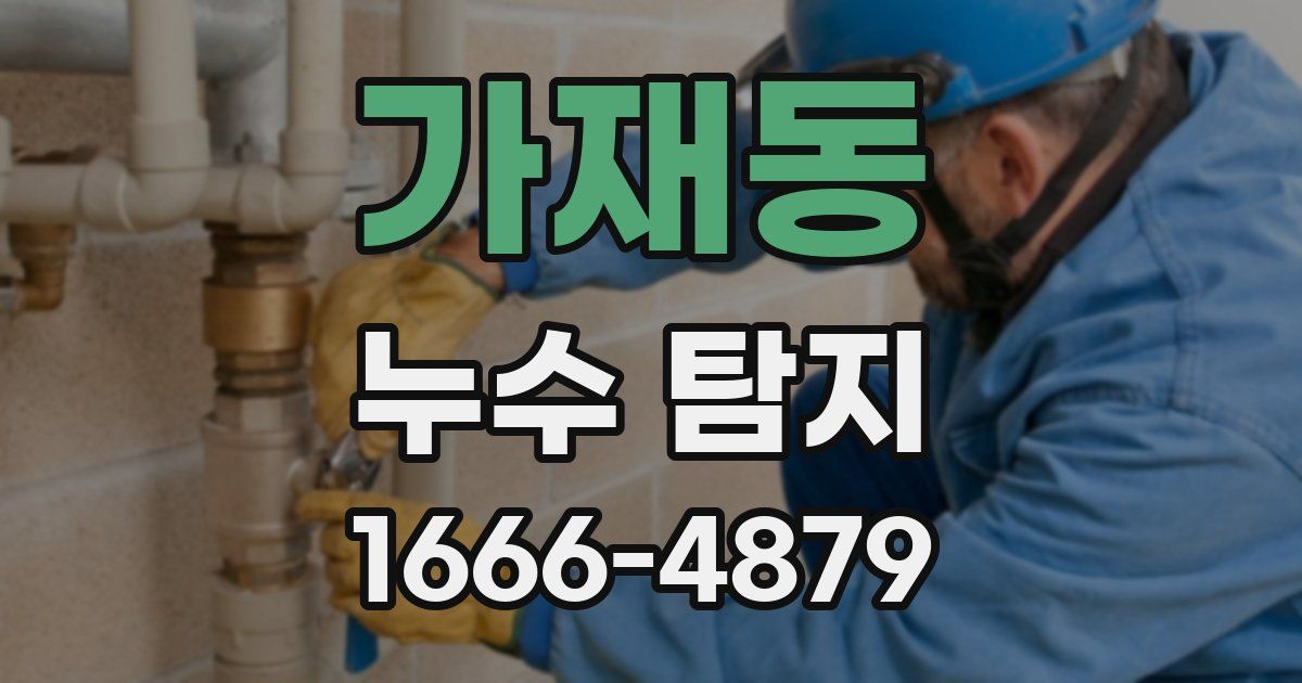 가재동 누수 탐지