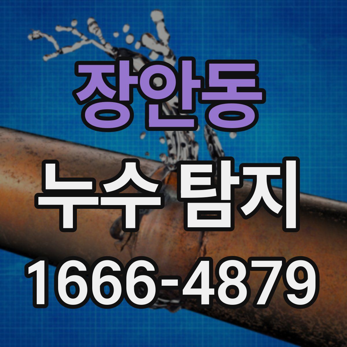 장안동 누수 탐지