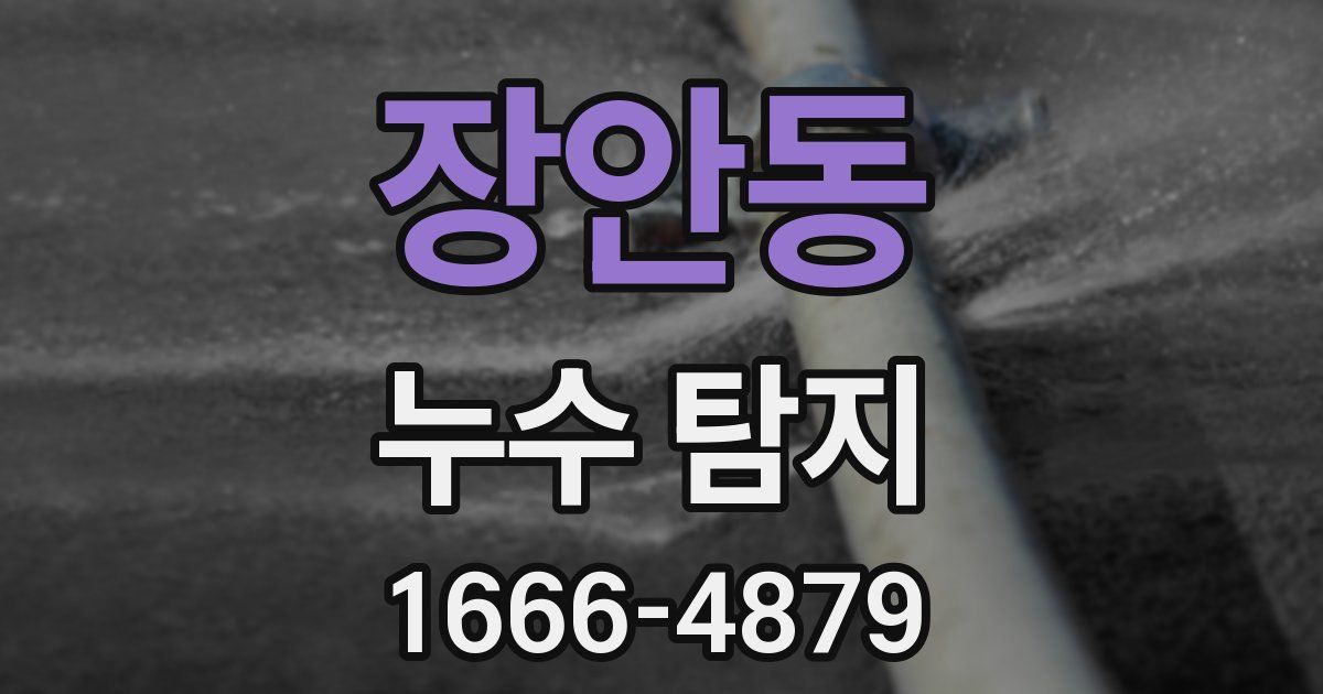 장안동 누수 탐지