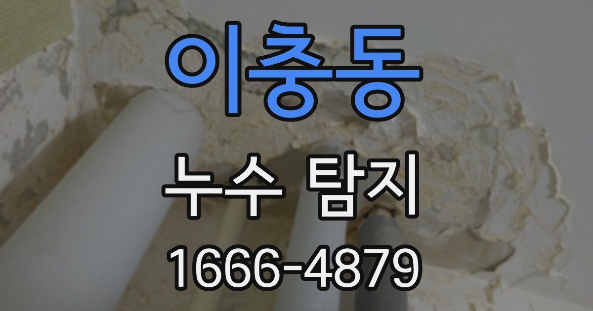 이충동 누수 탐지