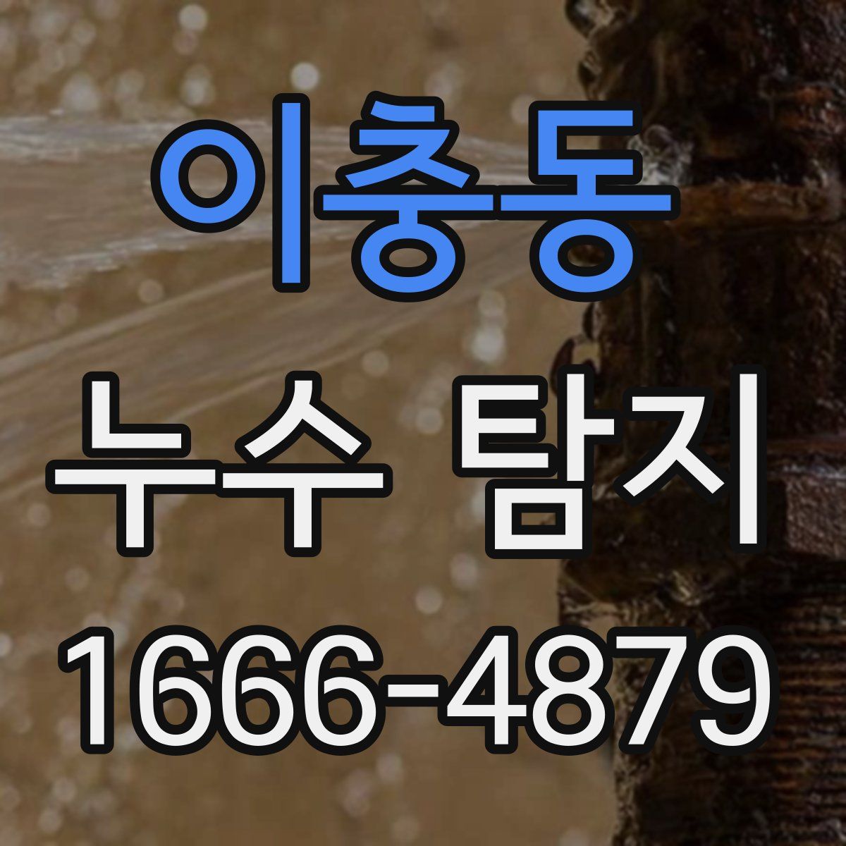 이충동 누수 탐지