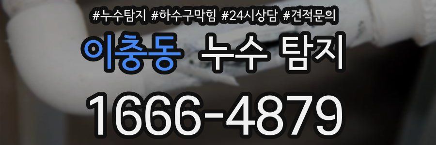 이충동 누수 탐지