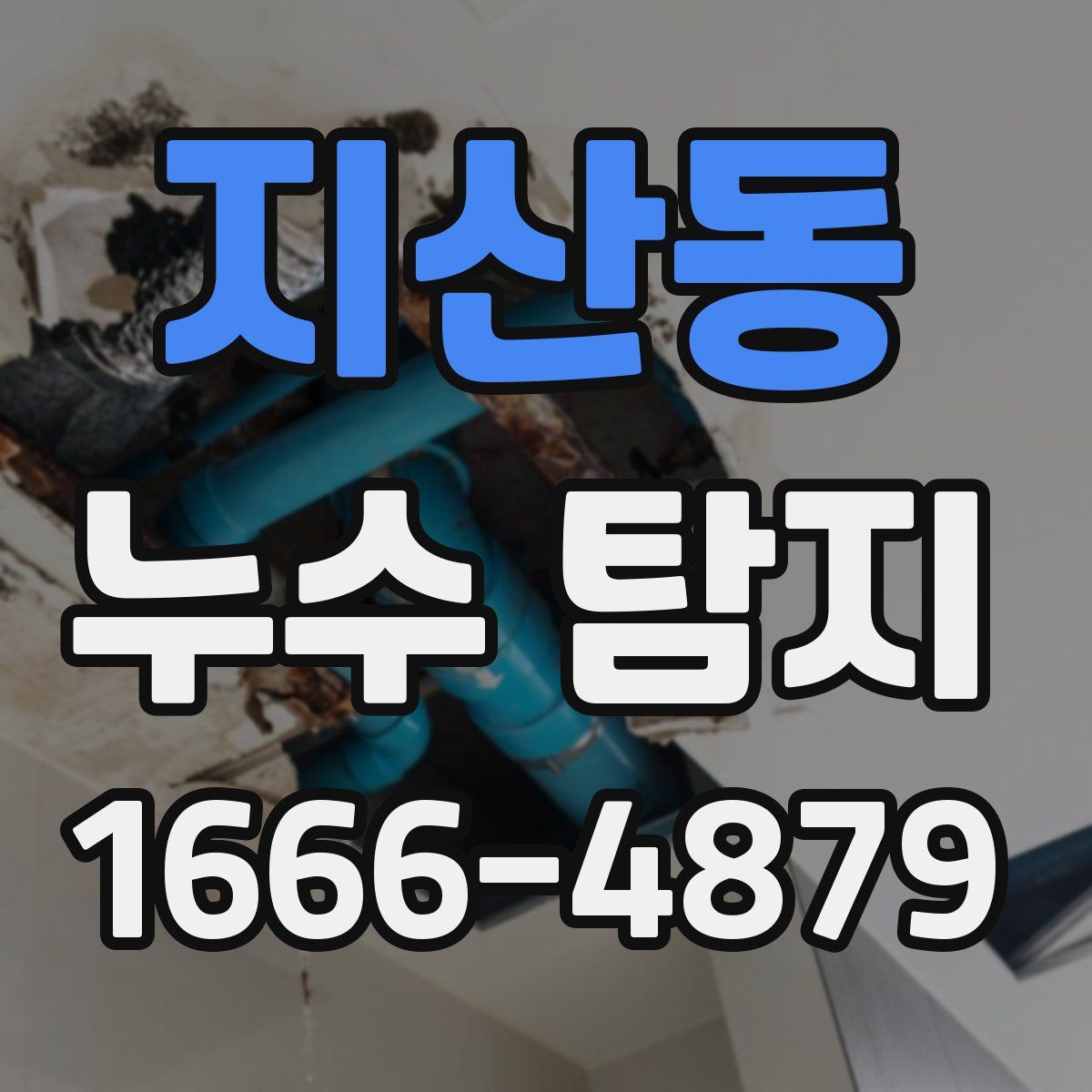 지산동 누수 탐지