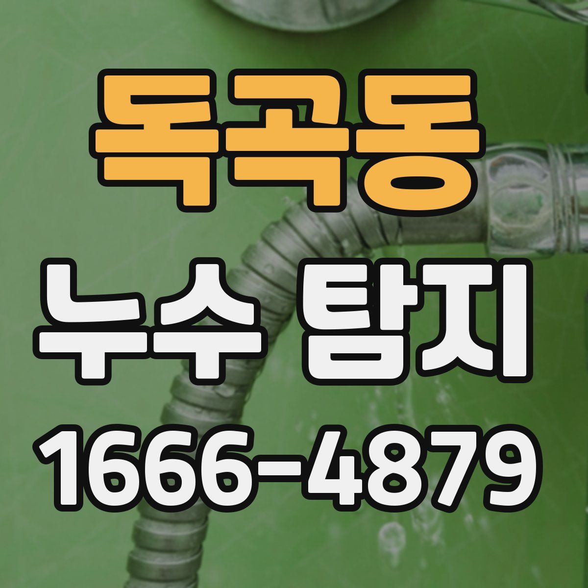 독곡동 누수 탐지