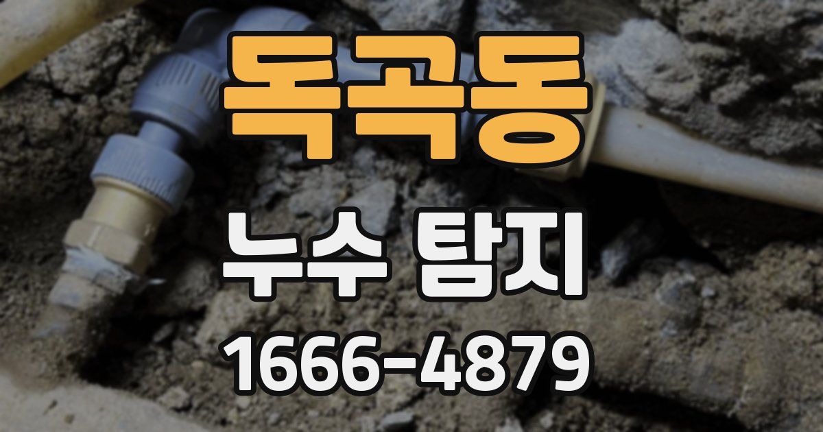 독곡동 누수 탐지