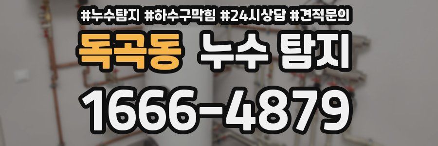 독곡동 누수 탐지