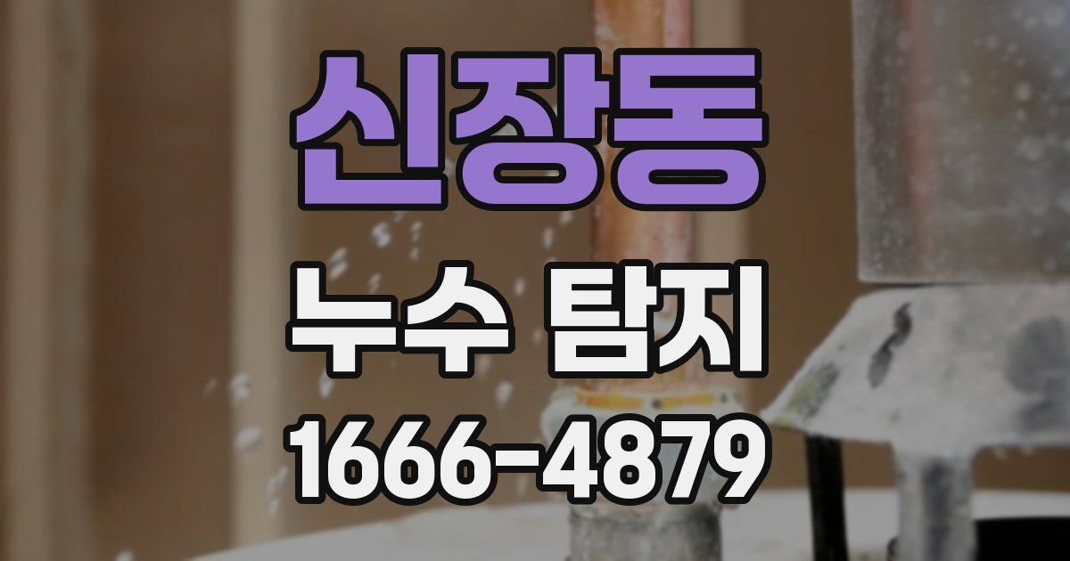 신장동 누수 탐지