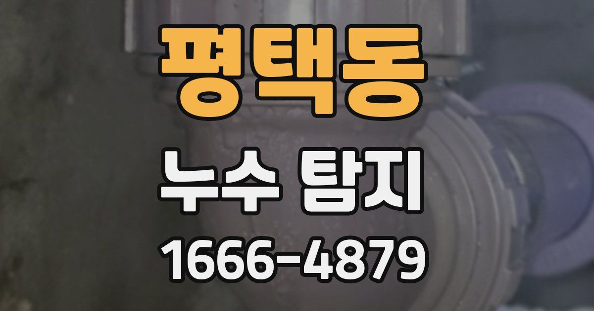 평택동 누수 탐지