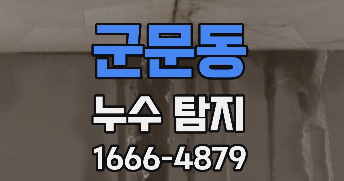 군문동 누수 탐지