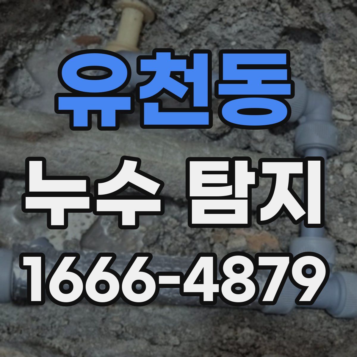 유천동 누수 탐지