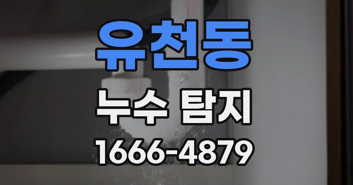 유천동 누수 탐지