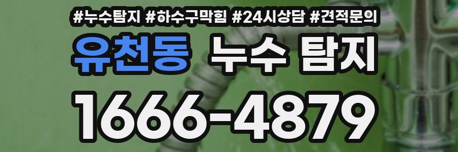 유천동 누수 탐지