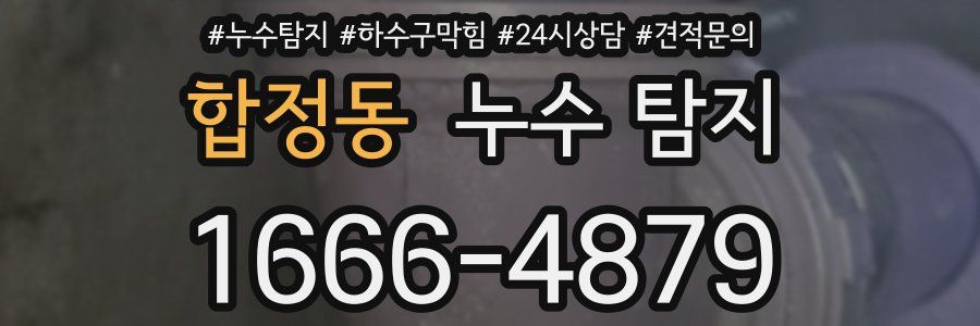 합정동 누수 탐지