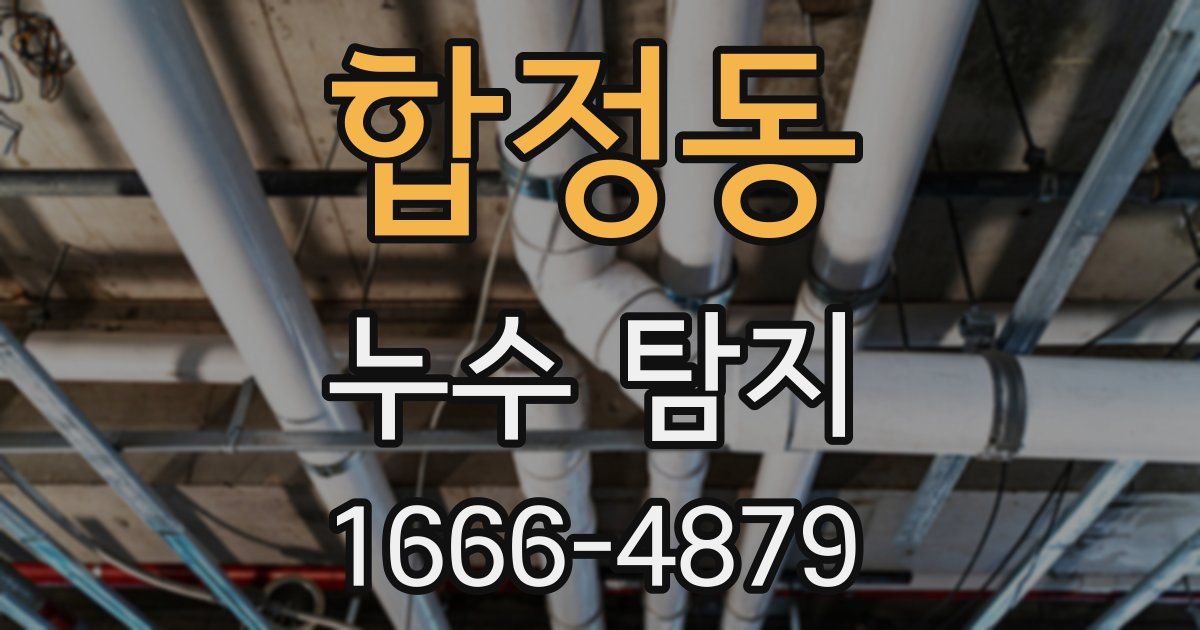합정동 누수 탐지