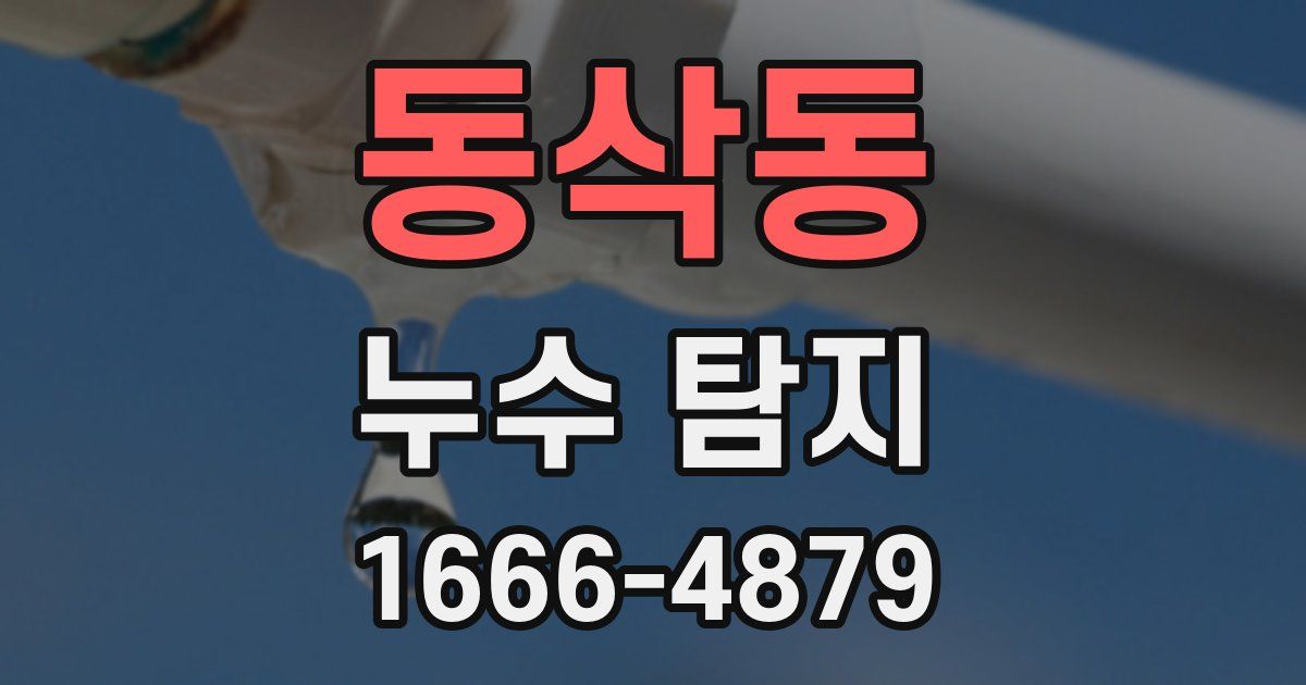 동삭동 누수 탐지