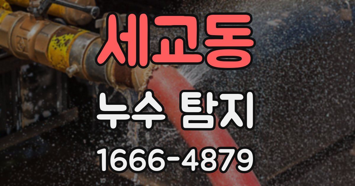 세교동 누수 탐지